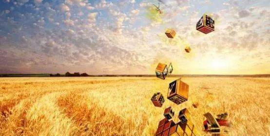 ng电子游戏·(中国区)官方网站