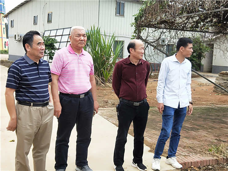 ng电子游戏·(中国区)官方网站