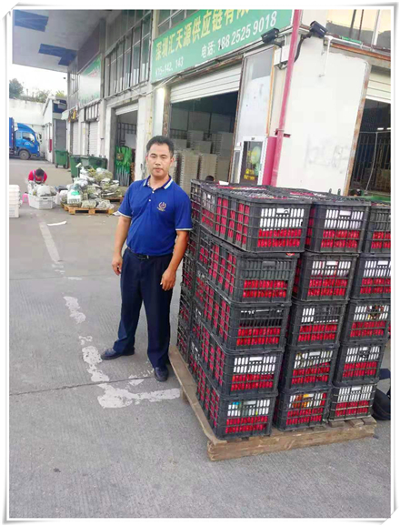 ng电子游戏·(中国区)官方网站