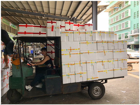 ng电子游戏·(中国区)官方网站